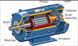 fig2