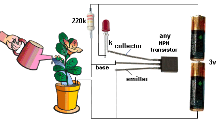 plant-water-alarm