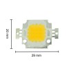 10 W LED with Color Temperature of 3000-3500 K