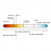 20W LED with Color Temperature of 6000-6500 K