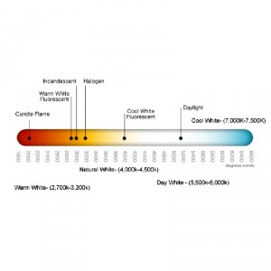 20W LED with Color Temperature of 6000-6500 K